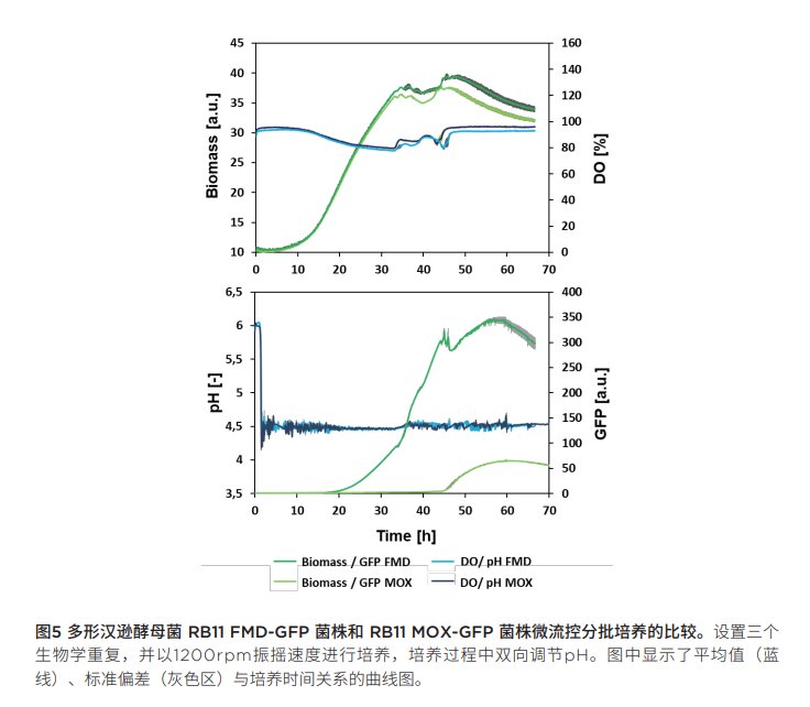 091338_985562_jswz.png 091338_985562_jswz.png