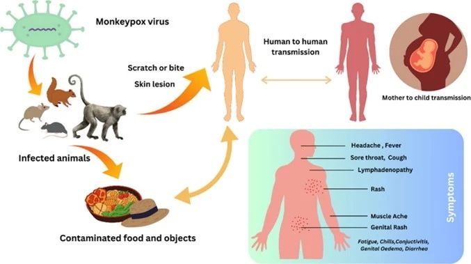 091557_208140_jswz.jpg 091557_208140_jswz.jpg