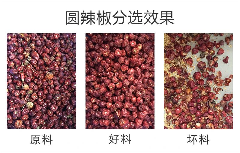 091008_464226_gsdt.jpg 091008_464226_gsdt.jpg