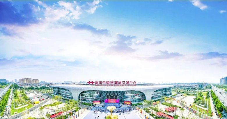 082947_505392_gsdt.jpg 082947_505392_gsdt.jpg