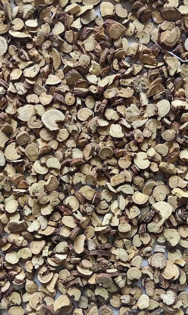 083252_837499_gsdt.jpg 083252_837499_gsdt.jpg