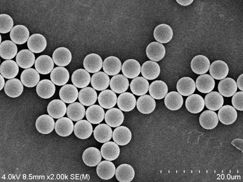 084032_708967_gsdt.png image.png