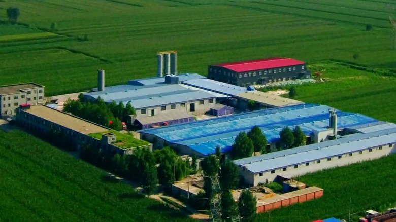 084834_977676_gsdt.jpg 084834_977676_gsdt.jpg