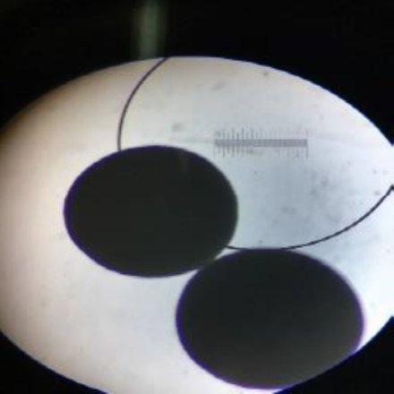 092444_492845_gsdt.png 5.png