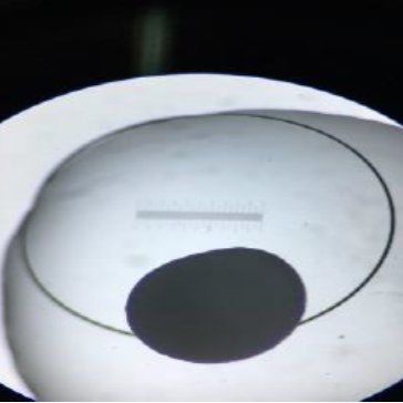 092520_389010_gsdt.png 7.png