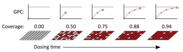 133915_936377_jswz.jpeg 1.jpeg