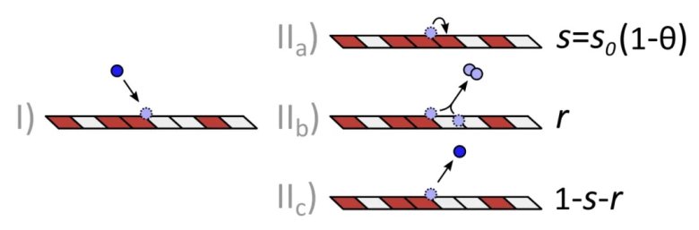 133927_235156_jswz.jpeg 2.jpeg