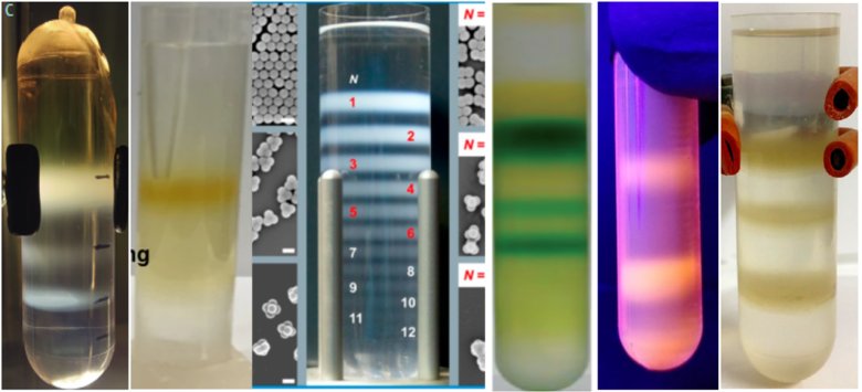 151556_695024_gsdt.png 151556_695024_gsdt.png