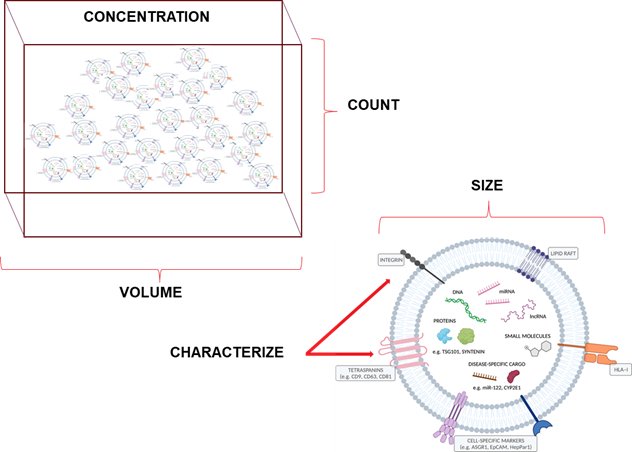 084412_536737_jswz.png 084412_536737_jswz.png