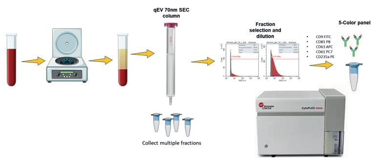 084440_485640_jswz.png 084440_485640_jswz.png