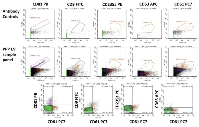 084709_111120_jswz.png 084709_111120_jswz.png