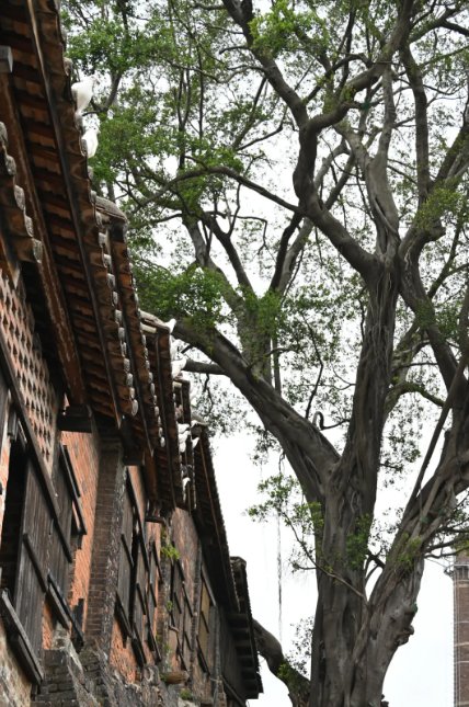 085737_952913_gsdt.png 085737_952913_gsdt.png