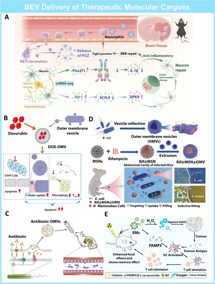 090013_477737_jswz.png 090013_477737_jswz.png