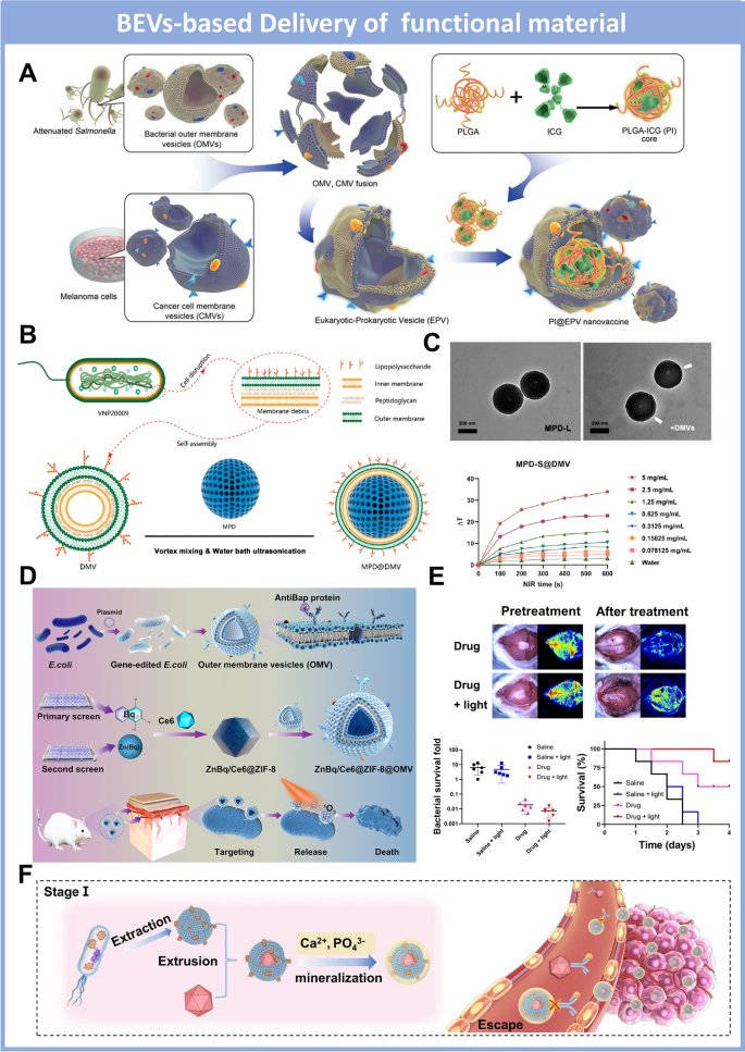 090057_270160_jswz.png 090057_270160_jswz.png