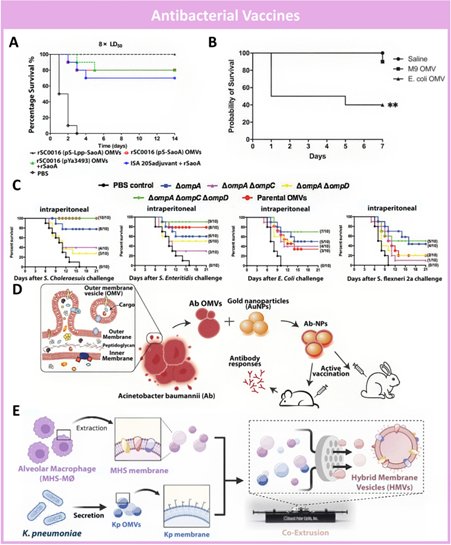 090142_844426_jswz.png 微信圖片_20241115085815.png