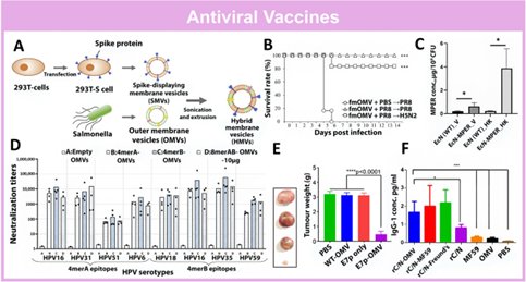 090212_253489_jswz.png 微信圖片_20241115085817.png