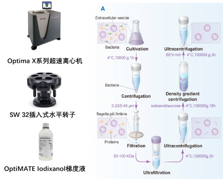 090342_398876_jswz.png 090342_398876_jswz.png