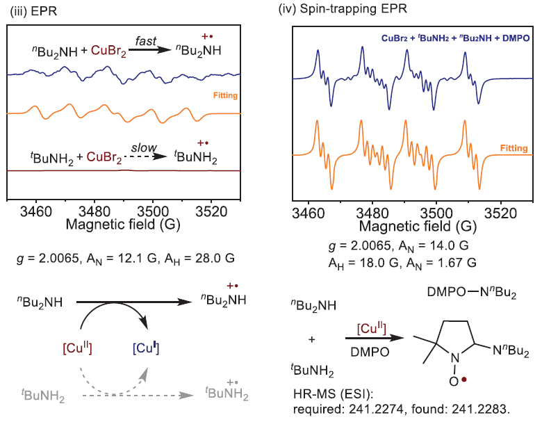 104134_627781_gsdt.png 104134_627781_gsdt.png