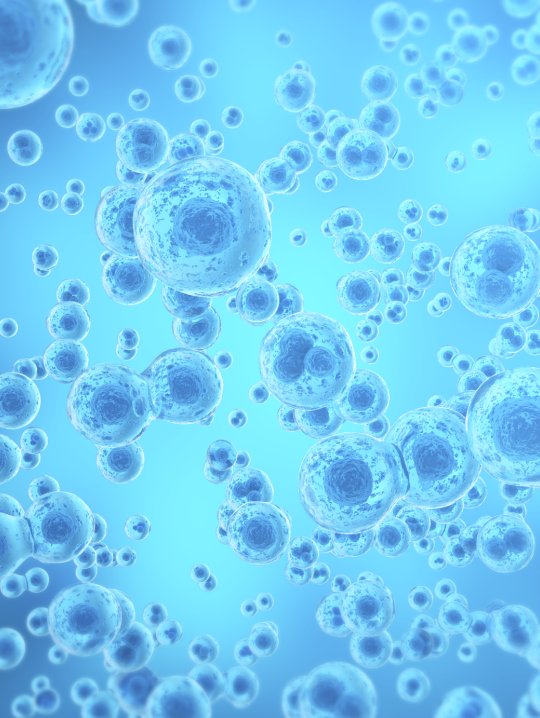 091327_247906_gsdt.png 2.png