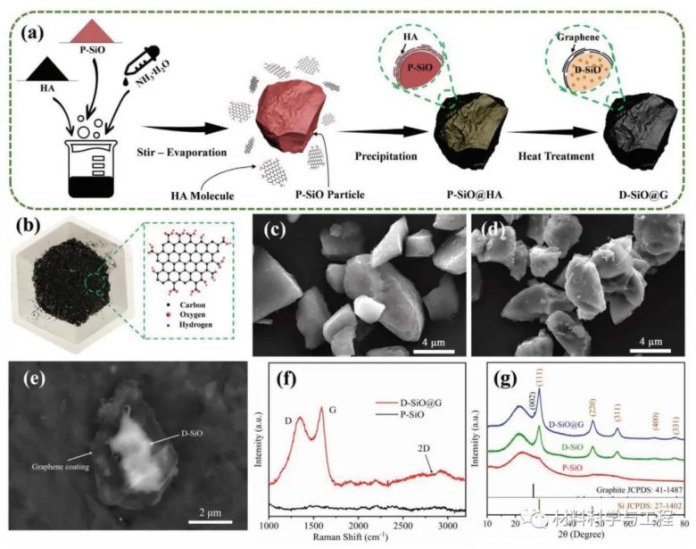 134333_521636_gsdt.jpg 八洲4.jpg