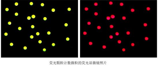 093102_118094_gsdt.png image.png