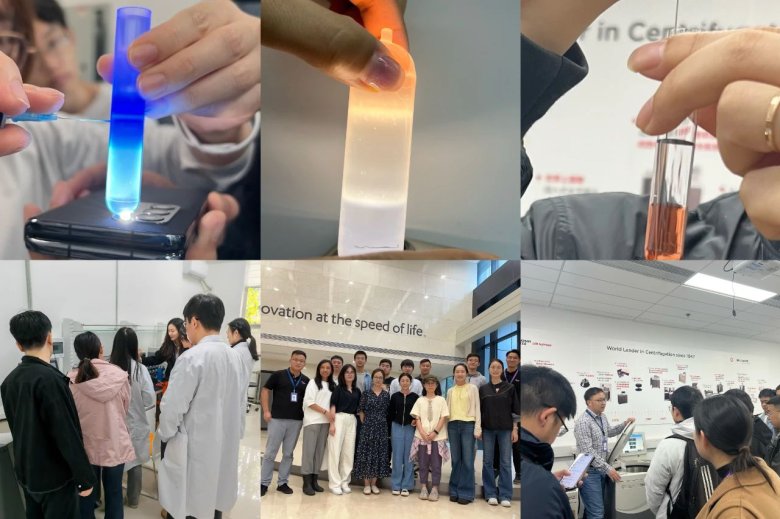 115734_007942_gsdt.jpg 115734_007942_gsdt.jpg