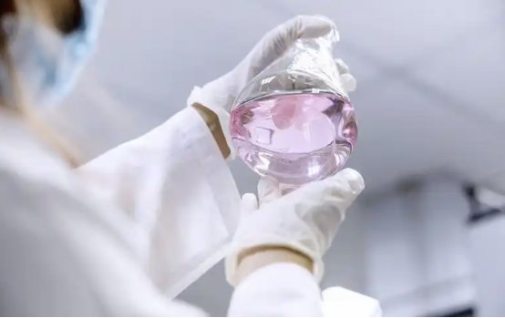 091219_821850_gsdt.png image.png