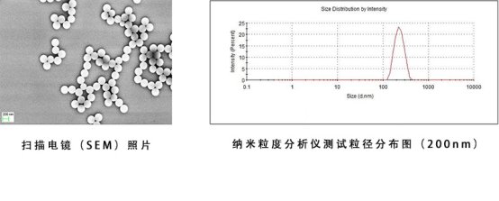 090021_876776_gsdt.png image.png