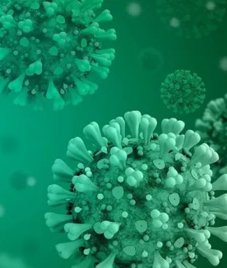 084925_486677_gsdt.png 微信圖片_20241224084627.png