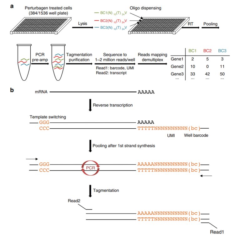 135515_778773_jswz.png 135515_778773_jswz.png