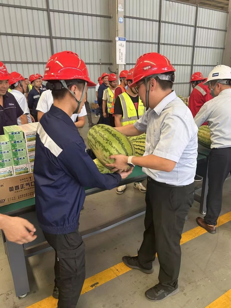 113210_384997_gsdt.jpg 113210_384997_gsdt.jpg