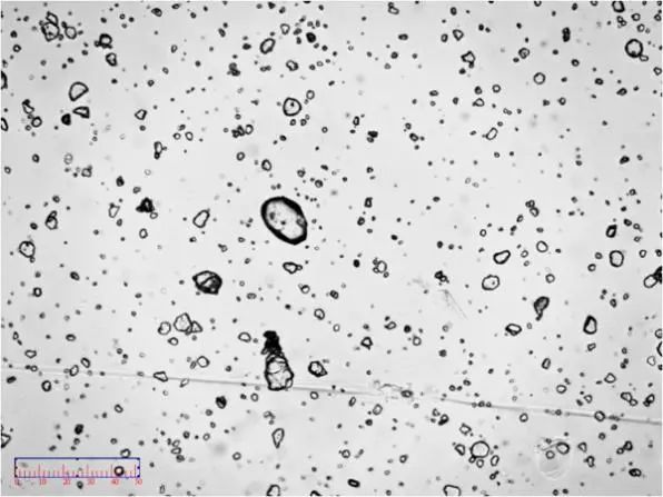 095357_088226_jswz.jpg 095357_088226_jswz.jpg