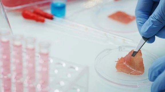 171436_909851_jswz.jpg 171436_909851_jswz.jpg