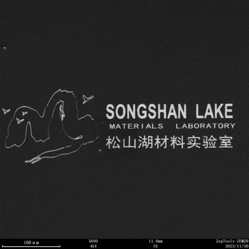 電子束光刻機部分應(yīng)用案例 電子束光刻機部分應(yīng)用案例