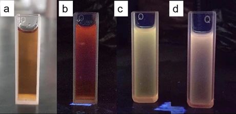 085300_415329_jswz.jpg 微信圖片_20250226084701.jpg