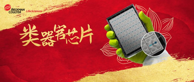 113937_210784_jswz.png 113937_210784_jswz.png