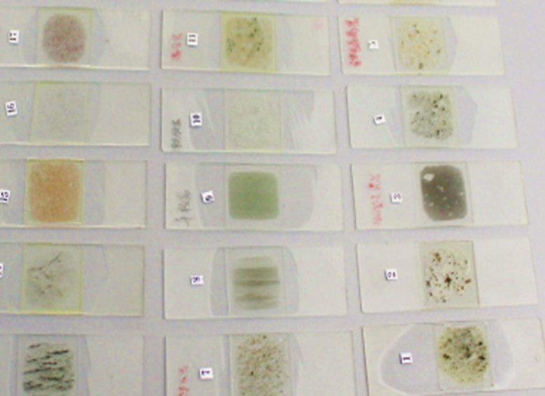 095145_915973_gsdt.png 095145_915973_gsdt.png