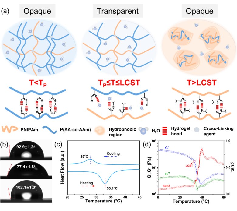 134306_842222_gsdt.png 134306_842222_gsdt.png