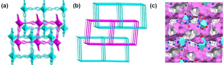 092022_119051_jswz.png 092022_119051_jswz.png