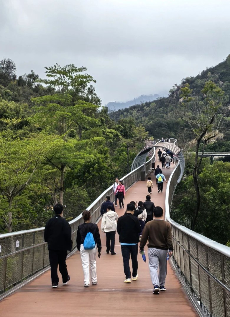 084421_684245_gsdt.jpg 084421_684245_gsdt.jpg