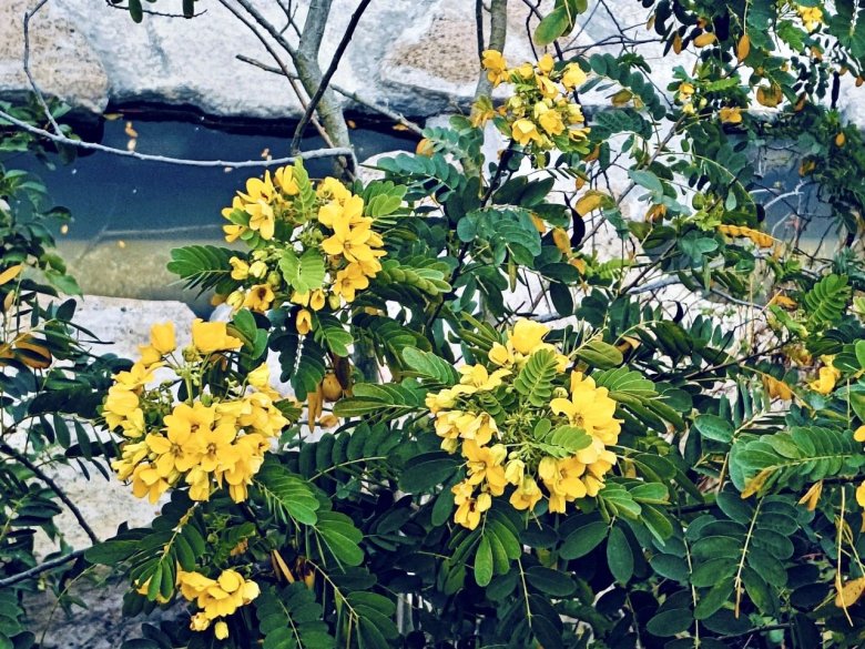 084422_019971_gsdt.jpg 084422_019971_gsdt.jpg