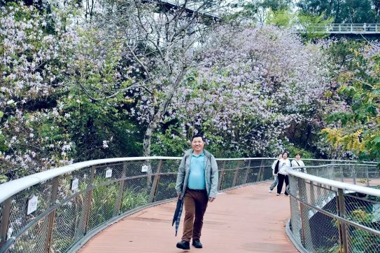 084845_646708_gsdt.png 084845_646708_gsdt.png