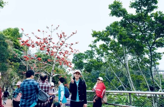 085023_749120_gsdt.png 085023_749120_gsdt.png