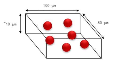 084444_805493_jswz.png 微信圖片_20250401084223.png