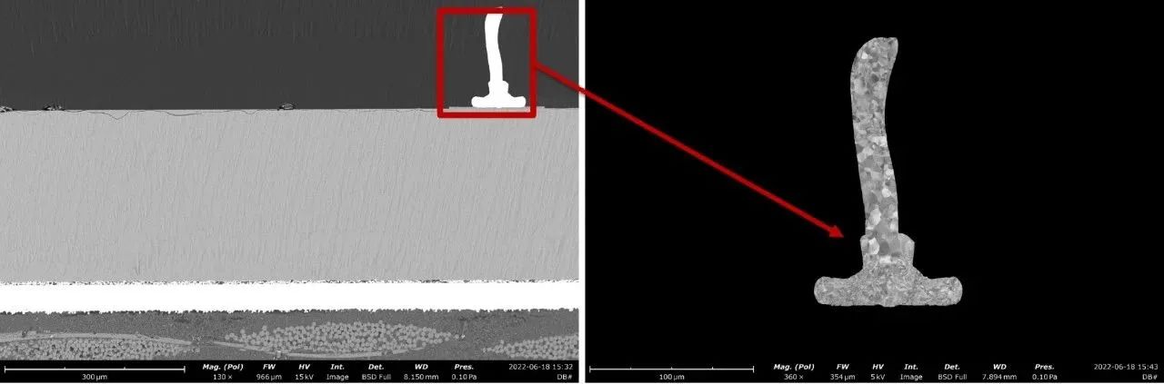 氬離子拋光制樣,使用飛納臺式掃描電鏡觀測1