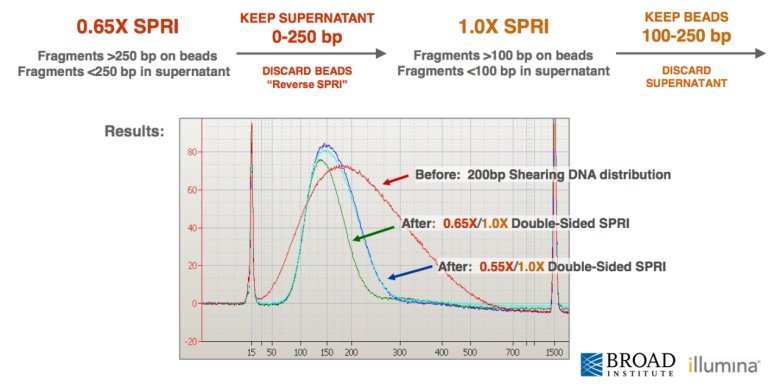 084741_650624_jswz.png 084741_650624_jswz.png