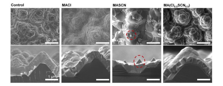 083642_756496_gsdt.png 083642_756496_gsdt.png