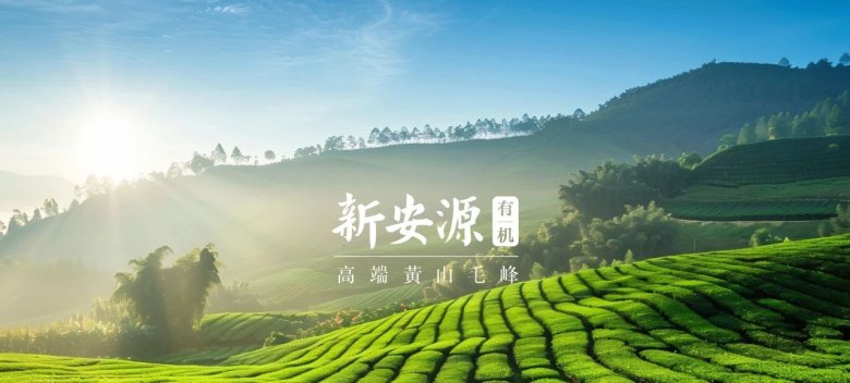 171509_426828_gsdt.jpg 171509_426828_gsdt.jpg