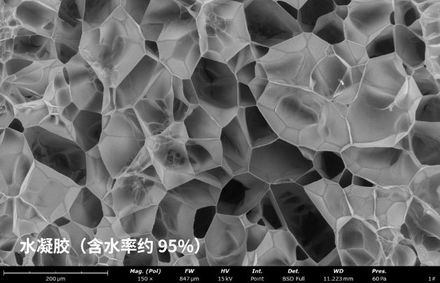 172058_044499_gsdt.png 172058_044499_gsdt.png