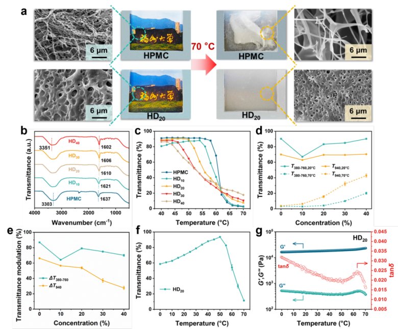 081908_966185_gsdt.png 081908_966185_gsdt.png